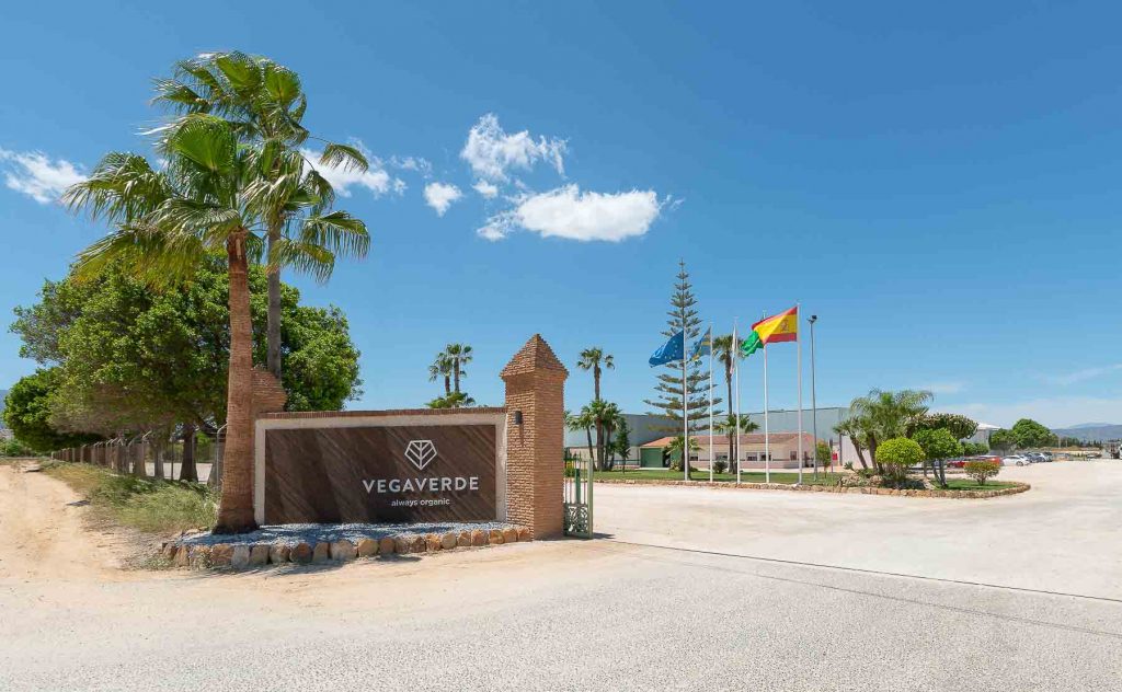 fotografia arquitectura andalucia agricultura lolo mestanza 18