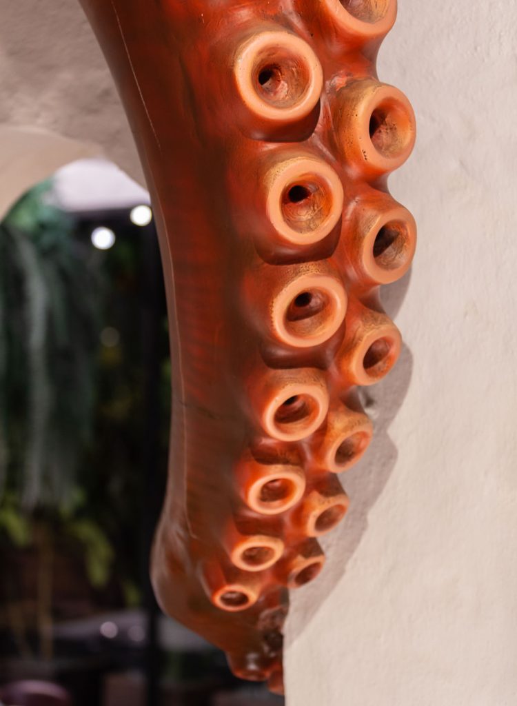 fotografia restaurantes bibo marbella lolo mestanza 9