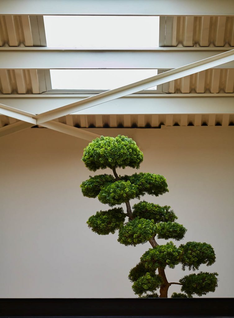 fotografo arquitectura viso hub malaga sinerba lolo mestanza 3