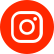 icono instagram